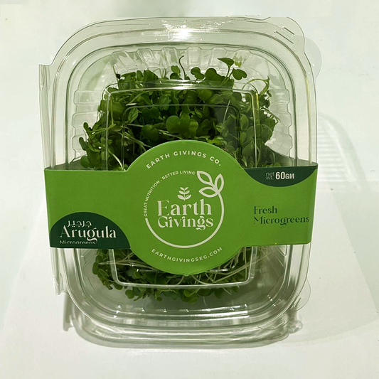 Microgreens Arugula براعم الجرجير