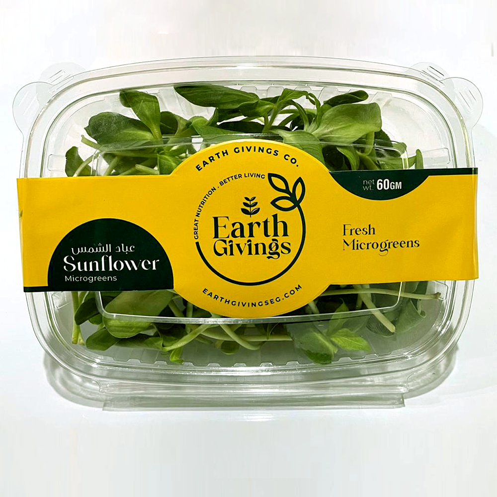 Microgreens Sunflower براعم دوار الشمس