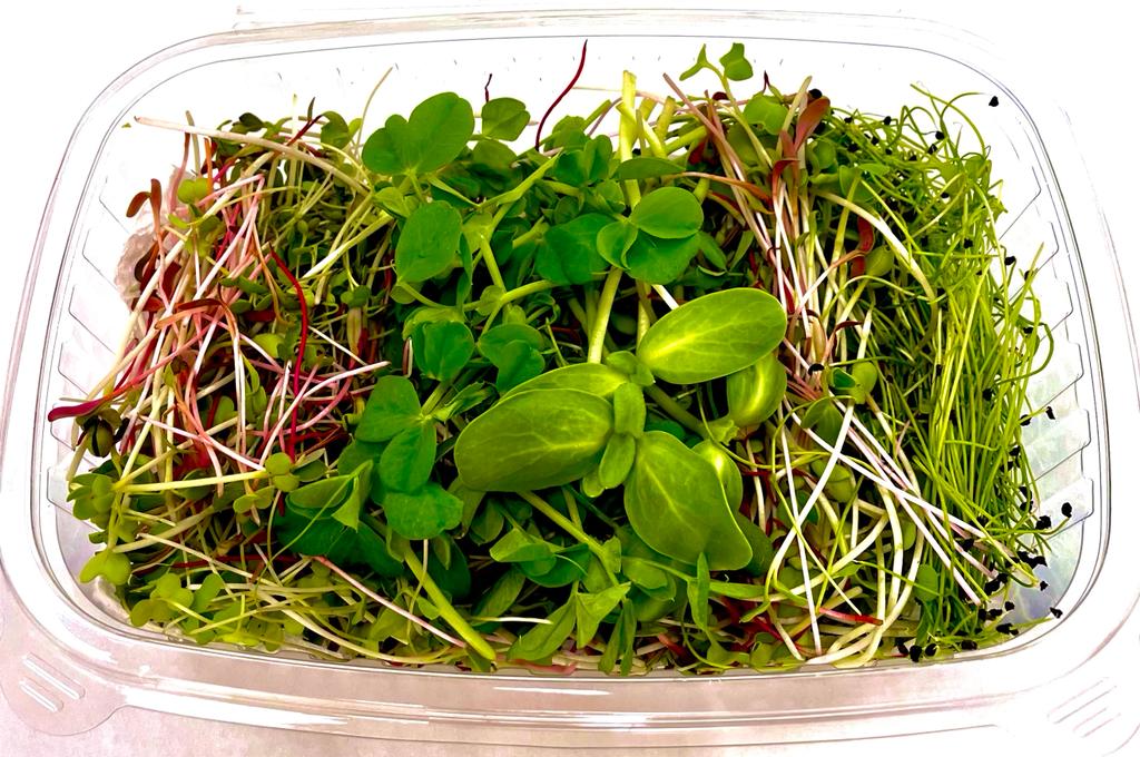 Microgreens Mix